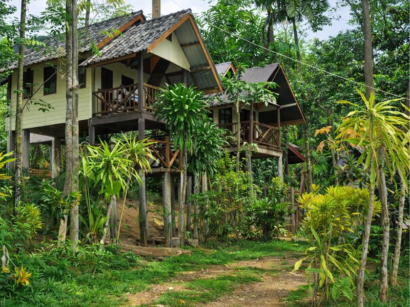 2-Day Khao Sok Jungle Safari Tour from Krabi