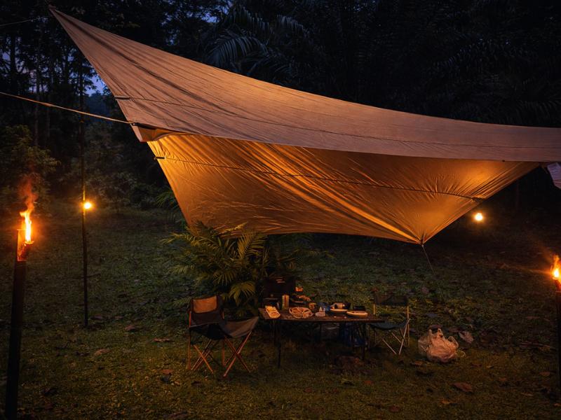 Khao Sok Jungle Escape – Half Day + Half Night Adventure