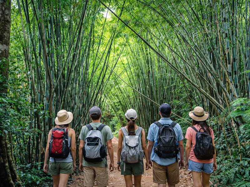 our team at Khao Sok National Park